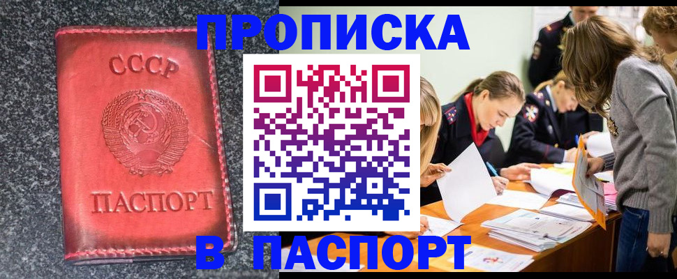 прописка для школы в Данилове